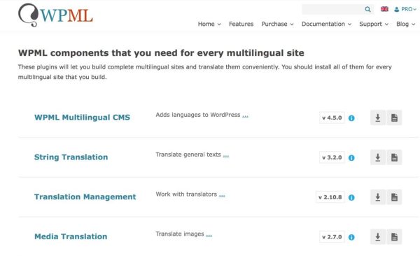 Các tính năng chính của WPML Multilingual CMS WordPress Plugin