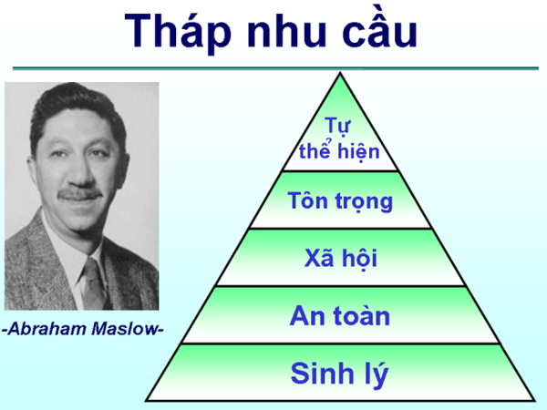 Phân Loại Nhu Cầu Cơ Bản