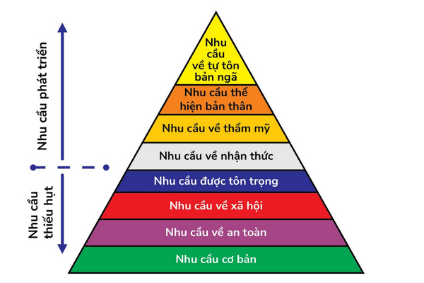 Các Cấp Độ của Tháp Nhu Cầu Maslow Mở Rộng