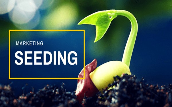 Seeding là gì?