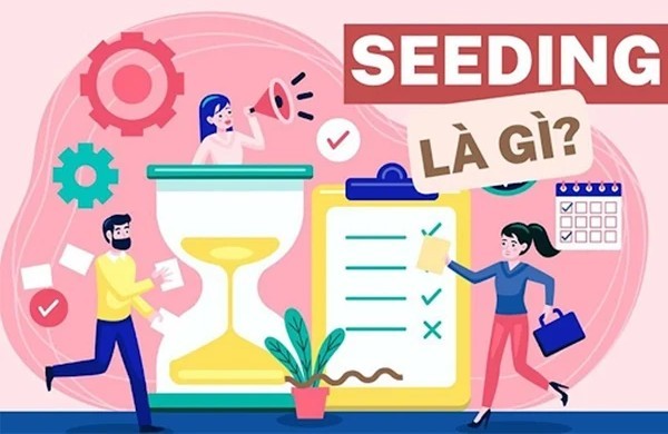 Những câu hỏi thường gặp về seeding là gì?