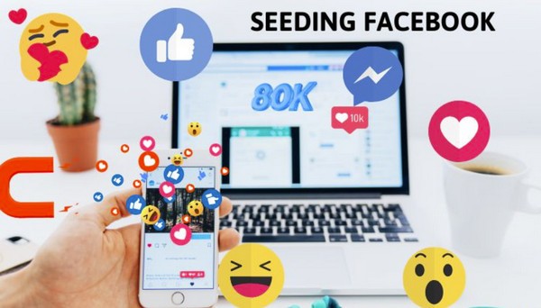 Seeding Facebook là quá trình lan truyền nội dung trên mạng xã hội