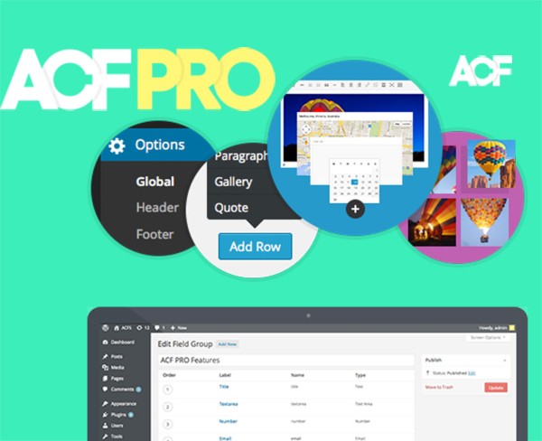 Lý do nên sử dụng ACF thay vì trường mặc định của WordPress Lý do nên sử dụng ACF thay vì trường mặc định của WordPress
