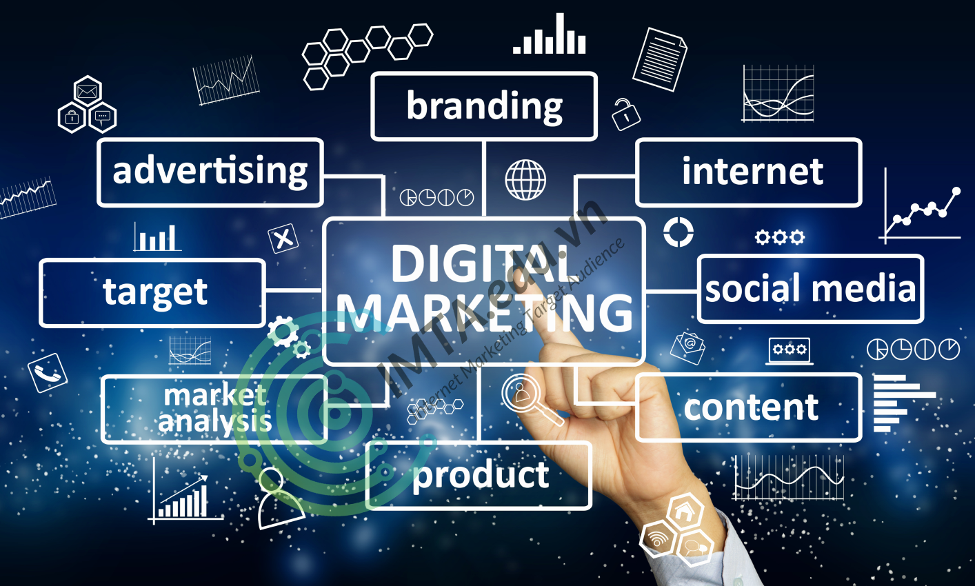 Triển khai các hoạt động Marketing chuyên nghiệp