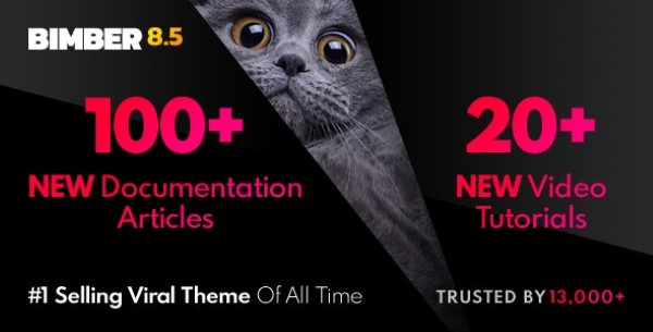 Tính năng nổi bật của Theme Bimber