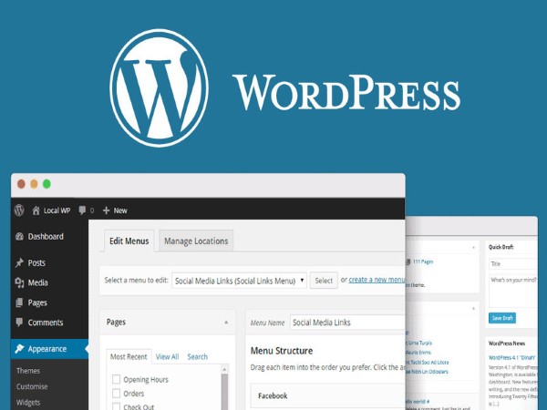 Hướng dẫn thực tế triển khai Dokan Business cho website WordPress