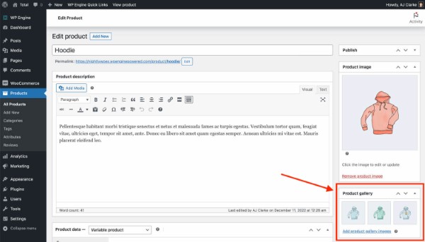 Hướng dẫn lựa chọn và cài đặt Product Gallery Slider phù hợp