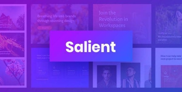 Tổng quan về Salient Responsive Multi Purpose Theme