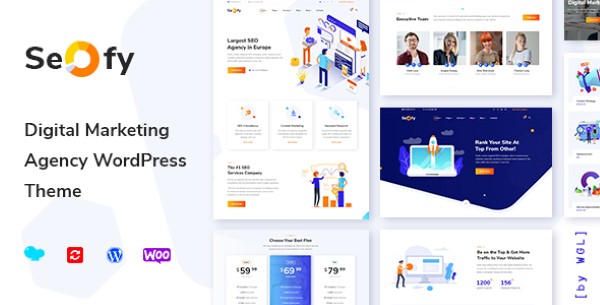 Giới thiệu về Seofy – SEO & Digital Marketing Agency WordPress Theme