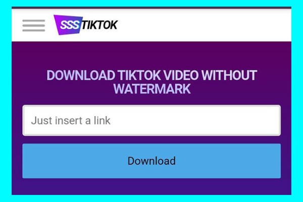 SSSTiktok một công cụ đáng tin cậy và tiện lợi để xoá logo TikTok 