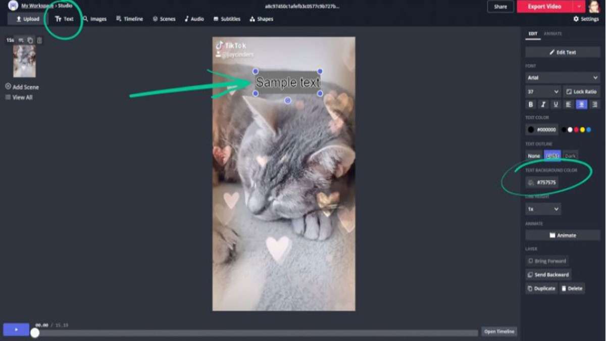 Cách xóa logo Tiktok trên máy tính bằng Kapwing