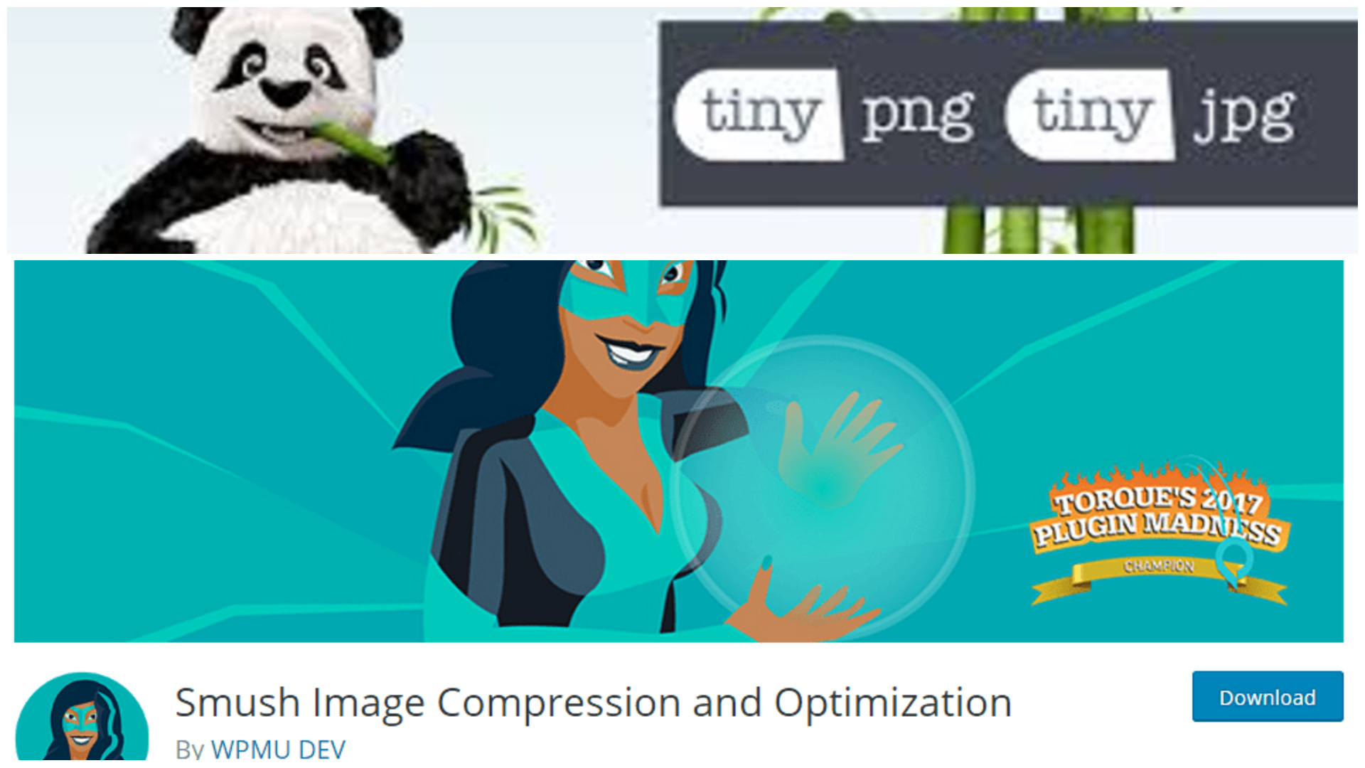 TinyPNG và WP Smush hai công cụ giúp tối ưu media WordPress hiệu quả