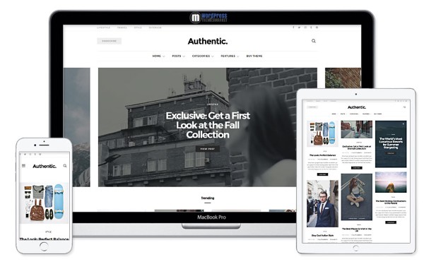 Đặc điểm của một WordPress Theme Authentic