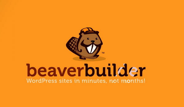 Tổng quan về Beaver Builder Professional Tổng quan về Beaver Builder Professional