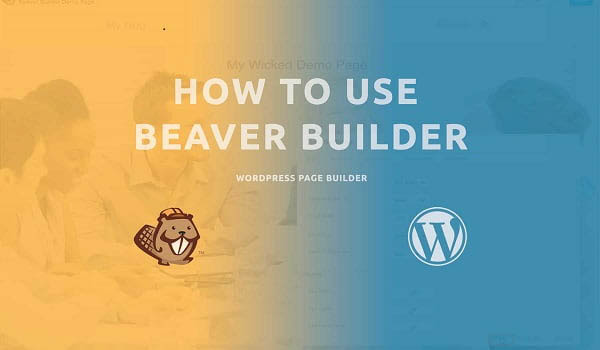 Kinh nghiệm, mẹo tối ưu và lưu ý khi sử dụng Beaver Builder Professional Kinh nghiệm, mẹo tối ưu và lưu ý khi sử dụng Beaver Builder Professional