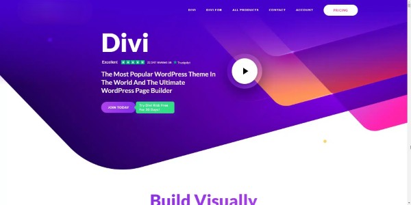Divi là một chủ đề WordPress cao cấp phổ biến với tính linh hoạt và dễ sử dụng