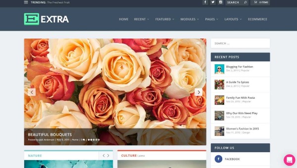 Thiết kế và giao diện của Elegant Themes Extra