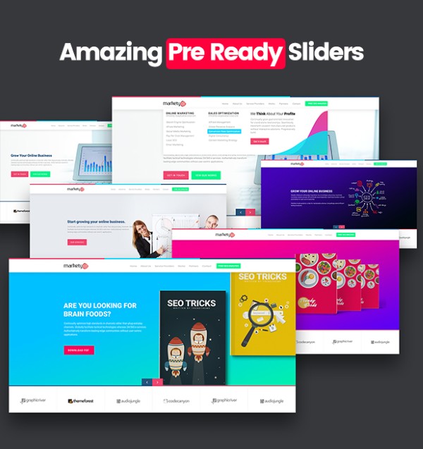 Ai nên sử dụng theme WordPress Markety?