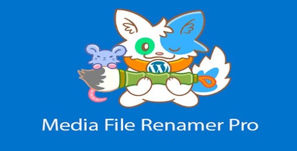 Giới thiệu về Media File Renamer Pro
