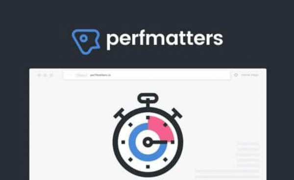 Giới thiệu chung về Perfmatters