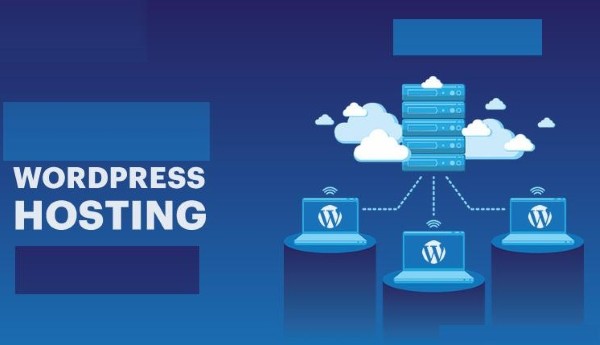 Lựa chọn hosting tối ưu là yếu tố then chốt để đảm bảo tốc độ website