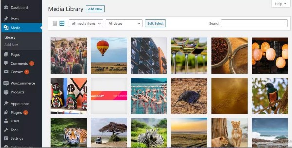 Hỗ trợ nhập dữ liệu từ các plugin quản lý media khác