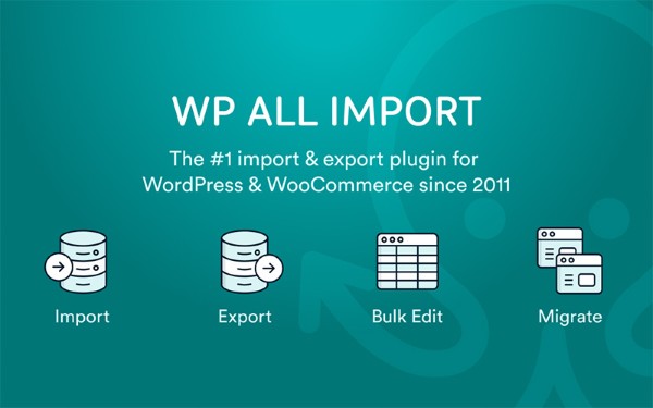 Giới thiệu WP All Import Pro WooCommerce Addon là gì?