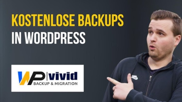 Đối tượng nên sử dụng WPvivid Backup Pro