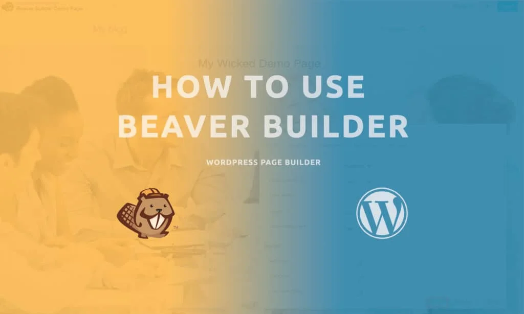 Câu hỏi thường gặp về Bundle Beaver Builder