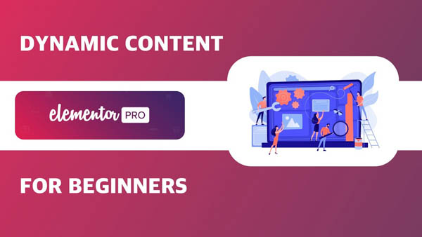 Tiêu chí lựa chọn plugin Premium Dynamic Content tốt nhất cho WordPress